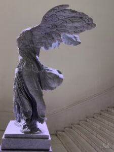 IMG 8426