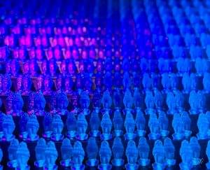 39646F2B B119 41FA 8A86 88EBD84B194F