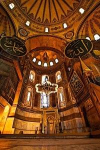 ali3477 9966699536 o