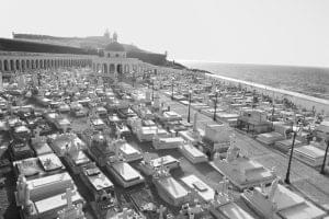 ali8144 14508285750 o