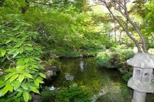 ali 20120516 untitled shoot 00631 8472175340 o