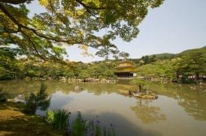 ali 20120518 untitled shoot 00926 8471087239 o