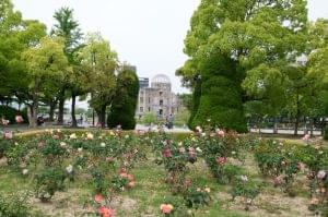 ali 20120520 untitled shoot 01158 8471093167 o