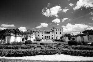 ali 2122 8736256085 o